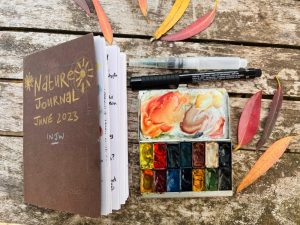 Read more about the article Nature Journaling in June – Week Two